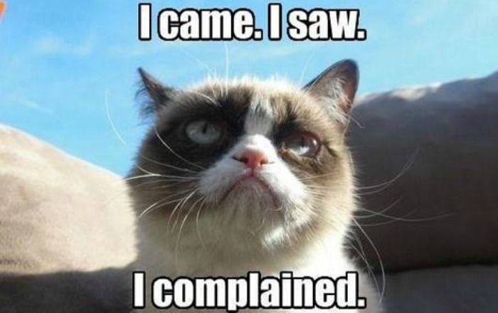 Cat Complain grumpyCatComplain | We Love Cats Forever